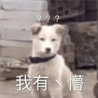 狗狗沙雕表情图片搞笑 关于狗的聊天表情包2020